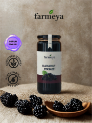 Karadut Pekmezi 610gr